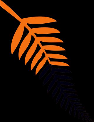 Baño electrolítico