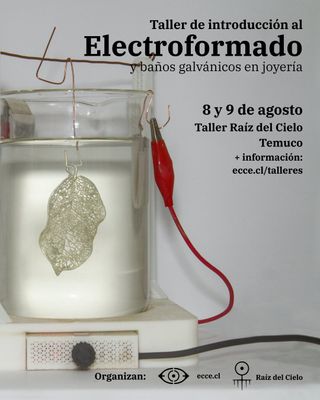Workshop Electroformado Agosto 2026