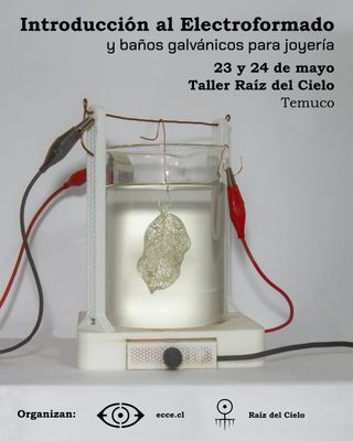 Workshop Electroformado