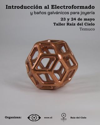 Workshop Electroformado