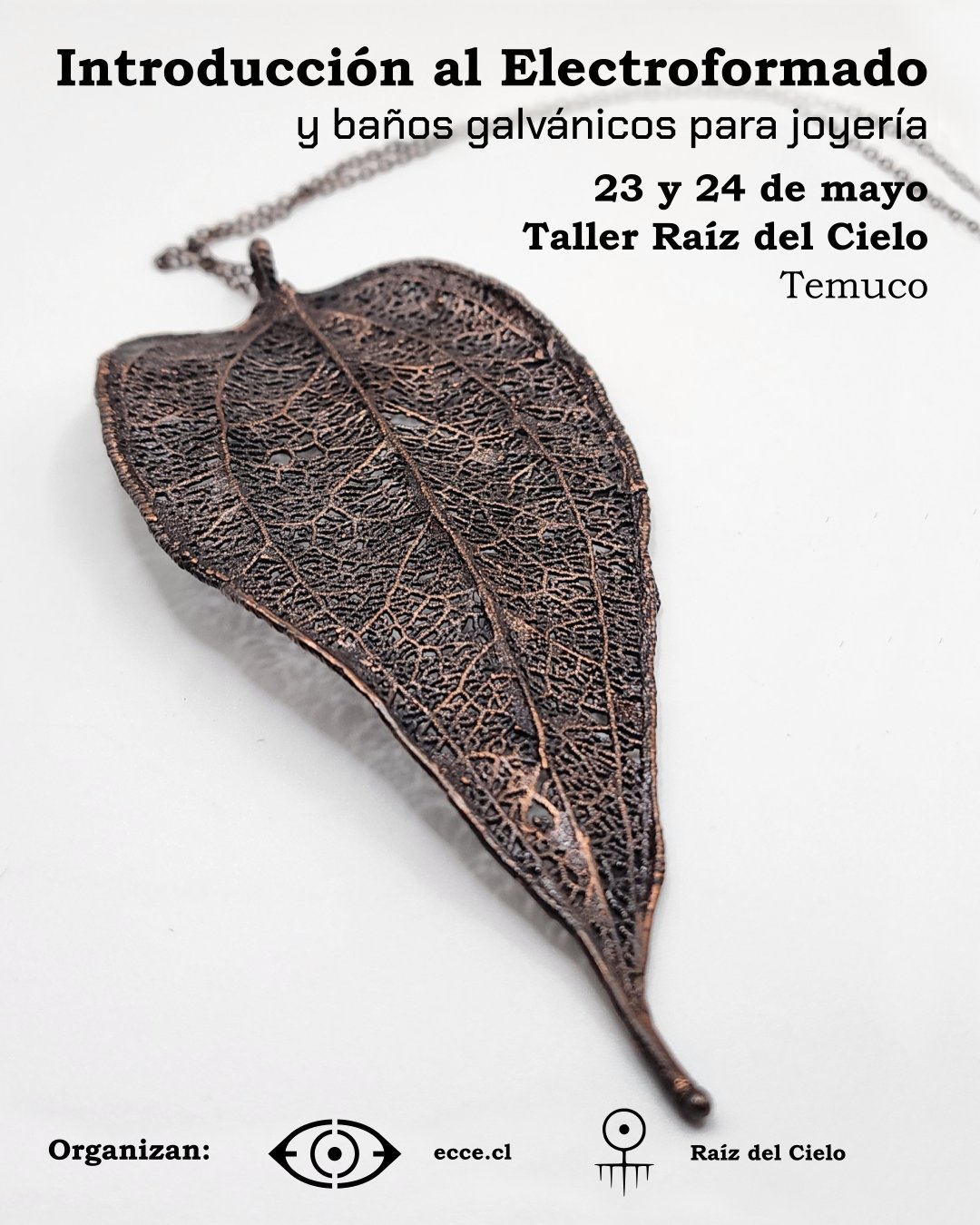 Workshop Introducción al electroformado, Taller Raíz del Cielo, Temuco - 23-24 Mayo 2026